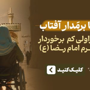 پروانه ها برمدار آفتاب